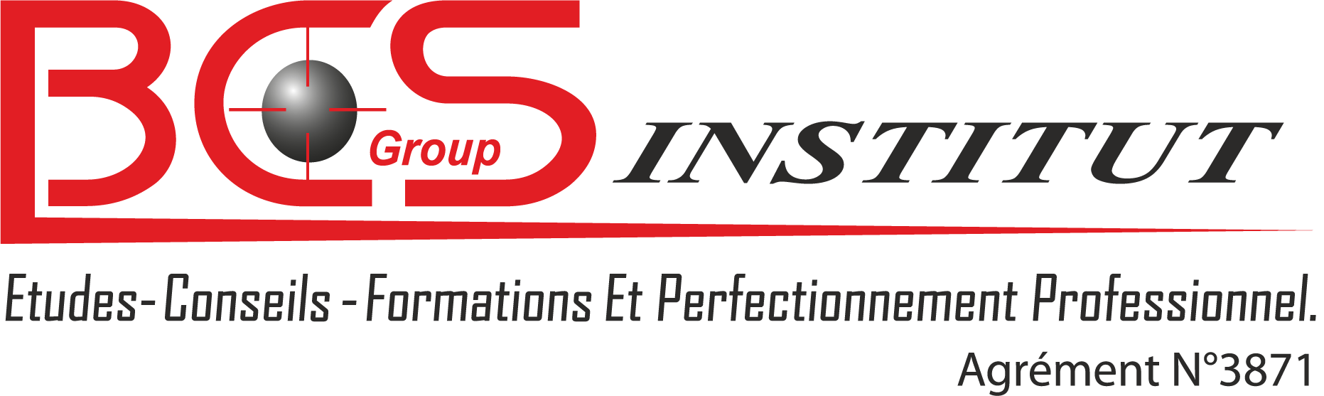 www.bcsgroupinstitut.com